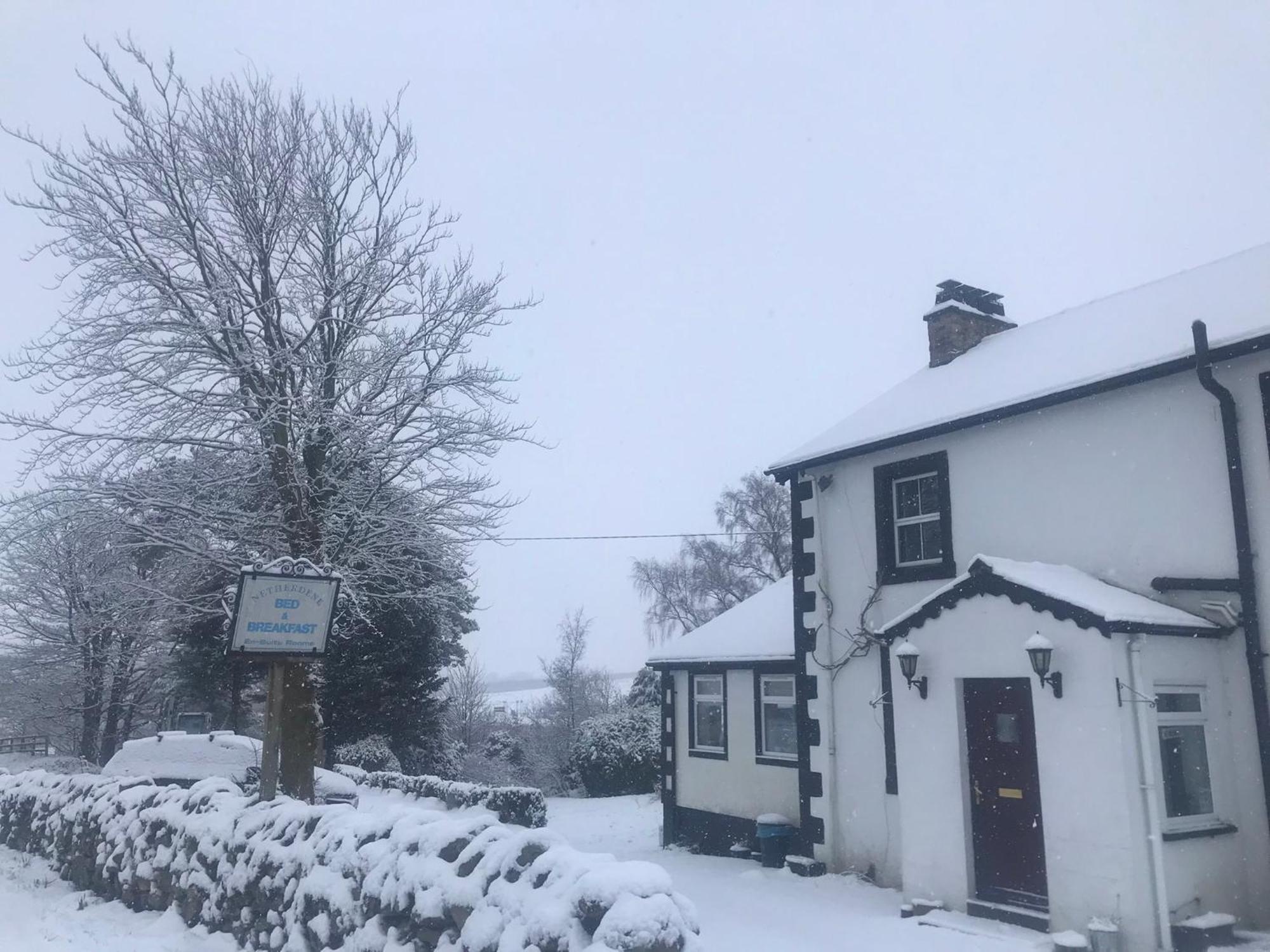 Netherdene Country House Bed & Breakfast Troutbeck  Eksteriør billede